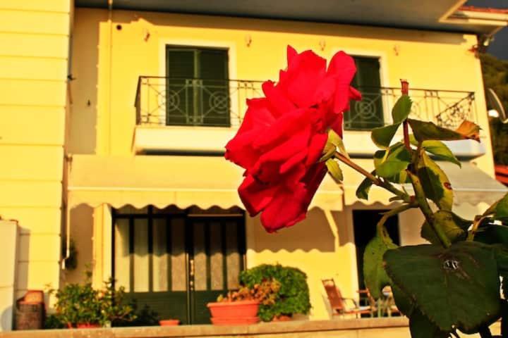 Guesthouse Bizani Neo Mpizani 외부 사진